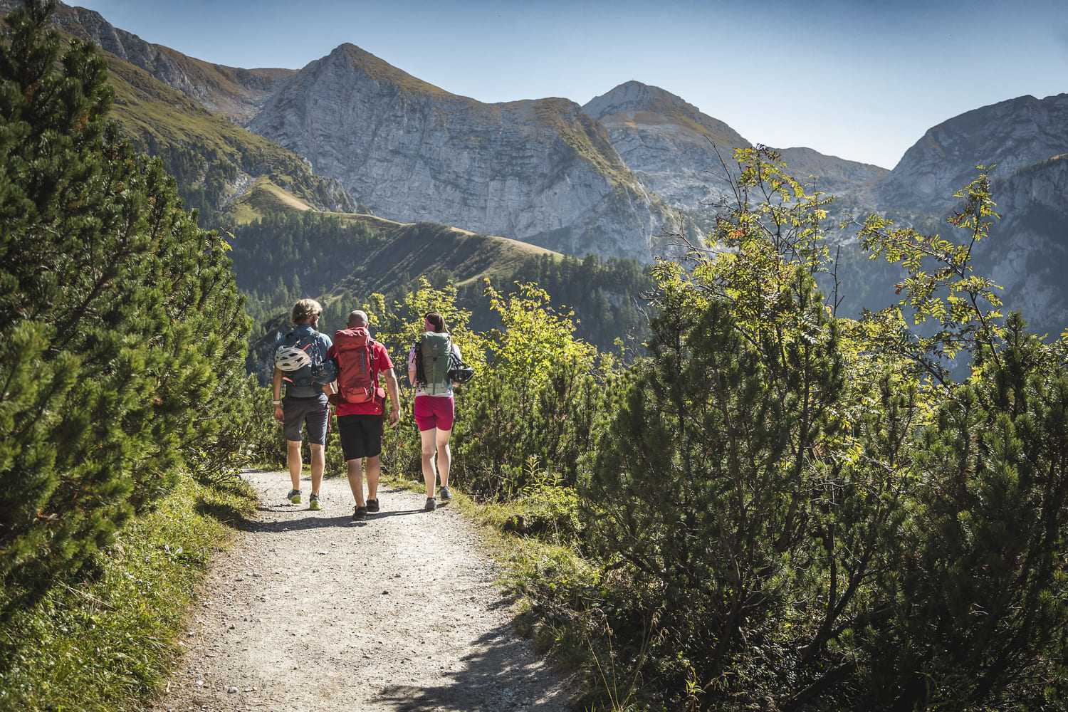 Drei Wanderer mit Rucksäcken, einer mit Helm am Rucksack, auf einem Bergpfad zwischen Nadelbäumen vor steilen Felsgipfeln.