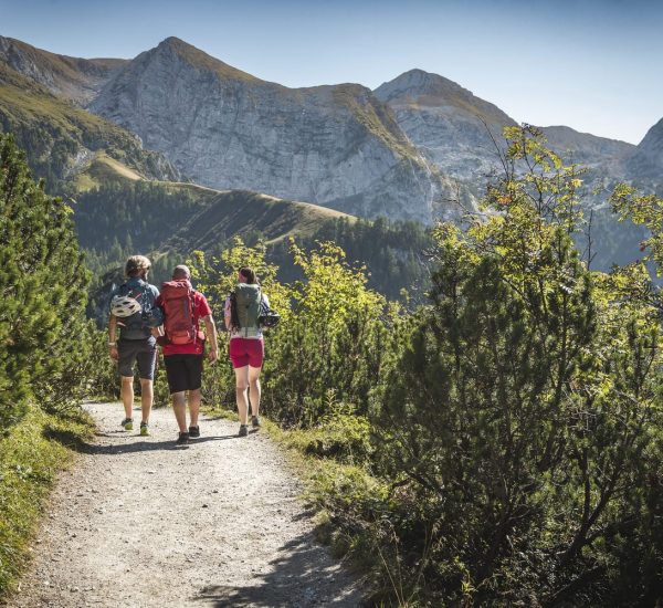 Drei Wanderer mit Rucksäcken, einer mit Helm am Rucksack, auf einem Bergpfad zwischen Nadelbäumen vor steilen Felsgipfeln.