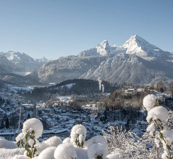 Verschneites Dorf im Tal vor schneebedeckten Berggipfeln bei klarem Winterhimmel, im Vordergrund verschneite Pflanzen.