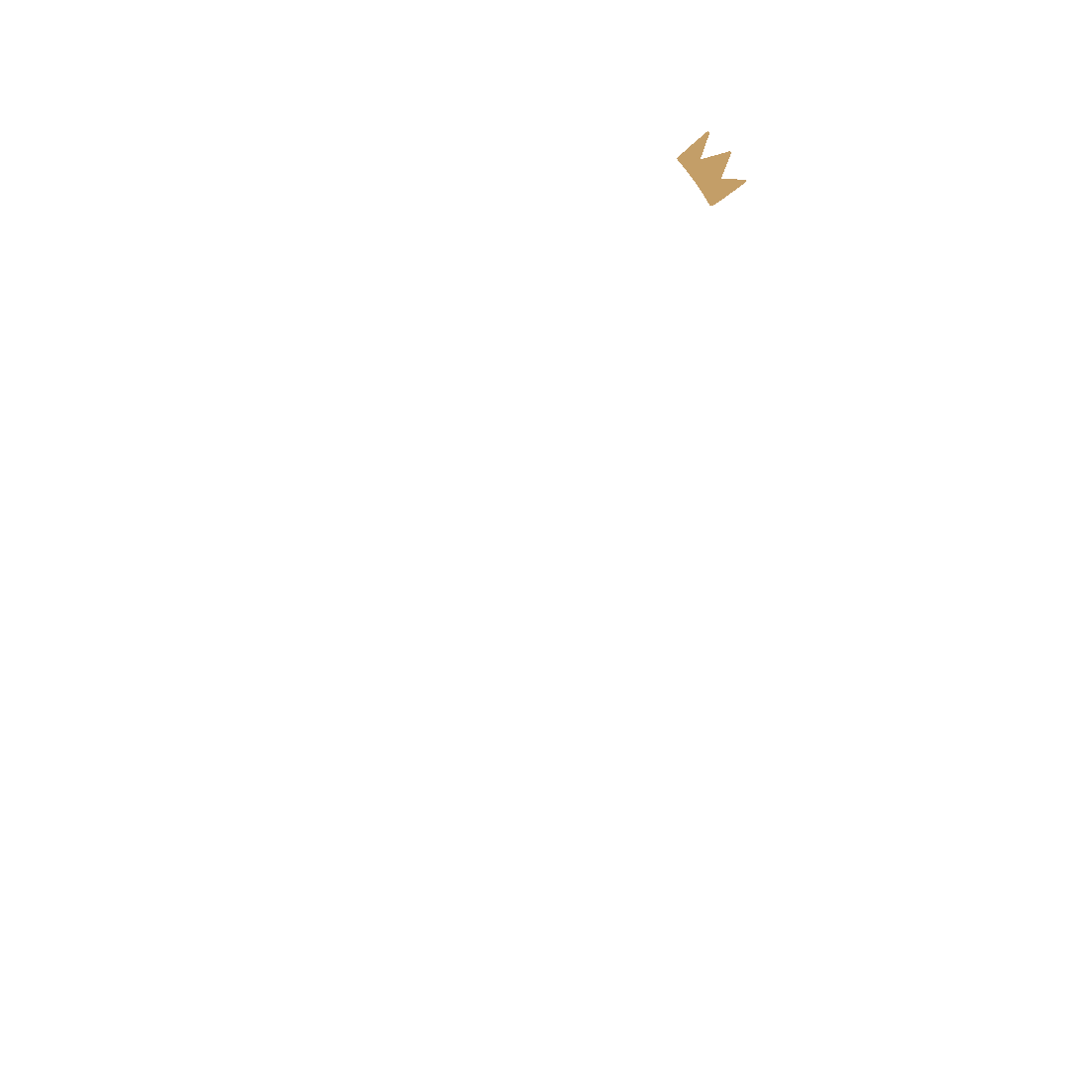 Hotel-Logo: Bergsilhouette mit goldener Krone, Schriftzug Alpenhotel Kronprinz und fünf Sterne im Kreis.